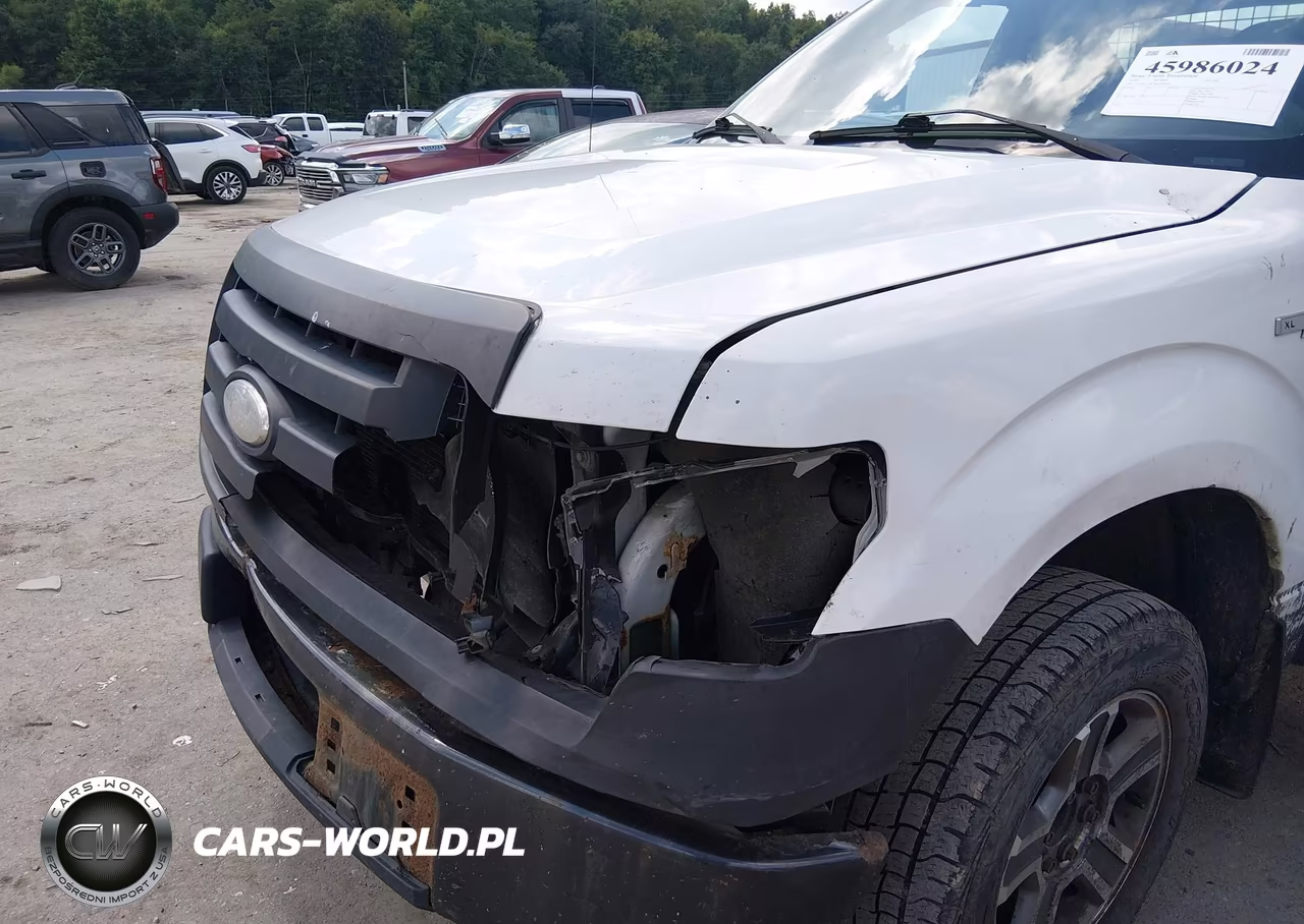 2009 Ford F-150 Stx-Xl-Xl W-Midbox Prep-Xlt-Xlt W-Midbox Prep VIN:1FTRF12W79KB89650 - 6