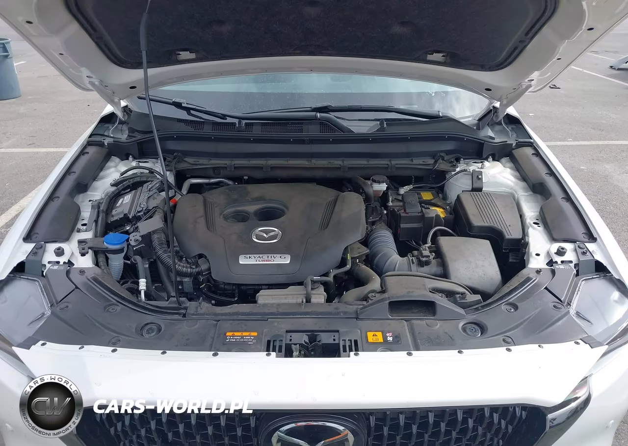 2025 Mazda Cx-5 2.5 Turbo Premium VIN:JM3KFBDY5S0734078 - 10