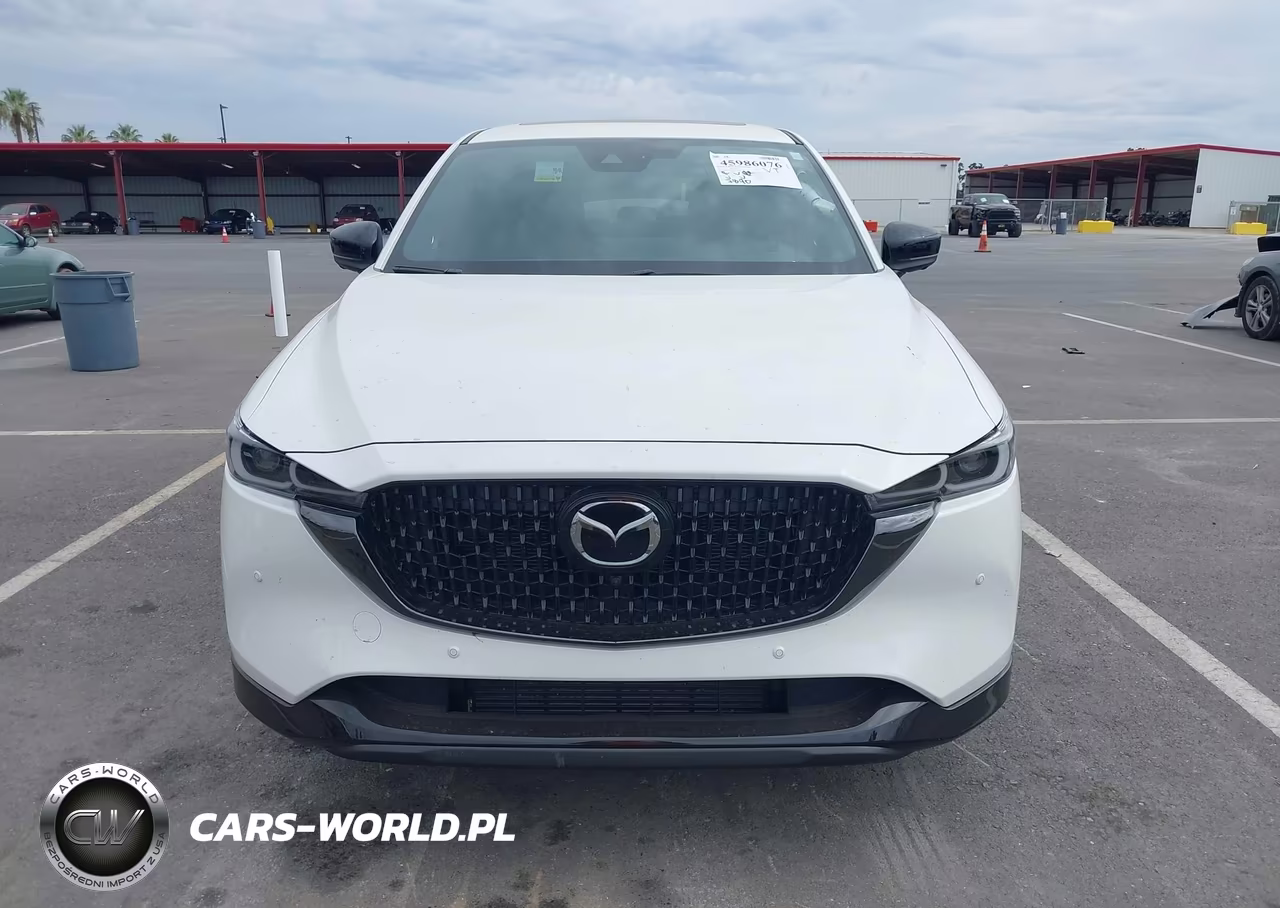 2025 Mazda Cx-5 2.5 Turbo Premium VIN:JM3KFBDY5S0734078 - 12