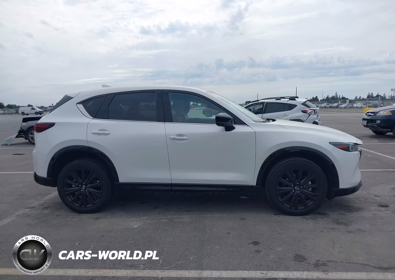 2025 Mazda Cx-5 2.5 Turbo Premium VIN:JM3KFBDY5S0734078 - 13