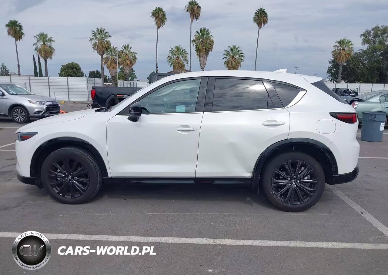 2025 Mazda Cx-5 2.5 Turbo Premium VIN:JM3KFBDY5S0734078 - 14