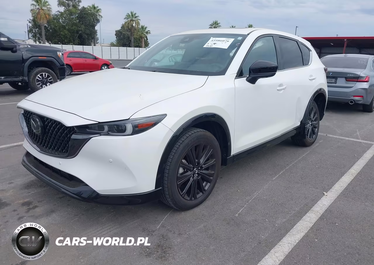 2025 Mazda Cx-5 2.5 Turbo Premium VIN:JM3KFBDY5S0734078 - 2