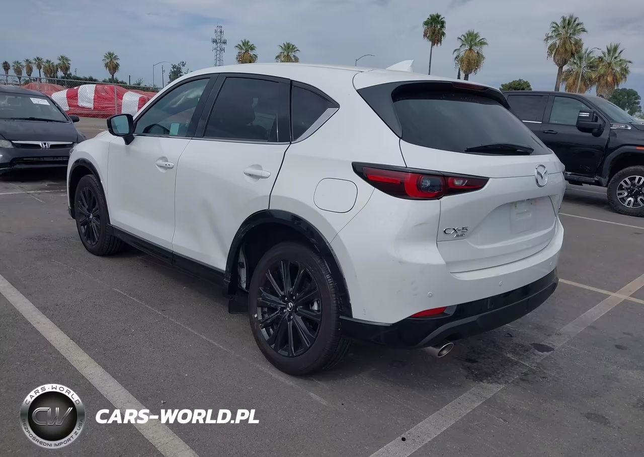 2025 Mazda Cx-5 2.5 Turbo Premium VIN:JM3KFBDY5S0734078 - 3