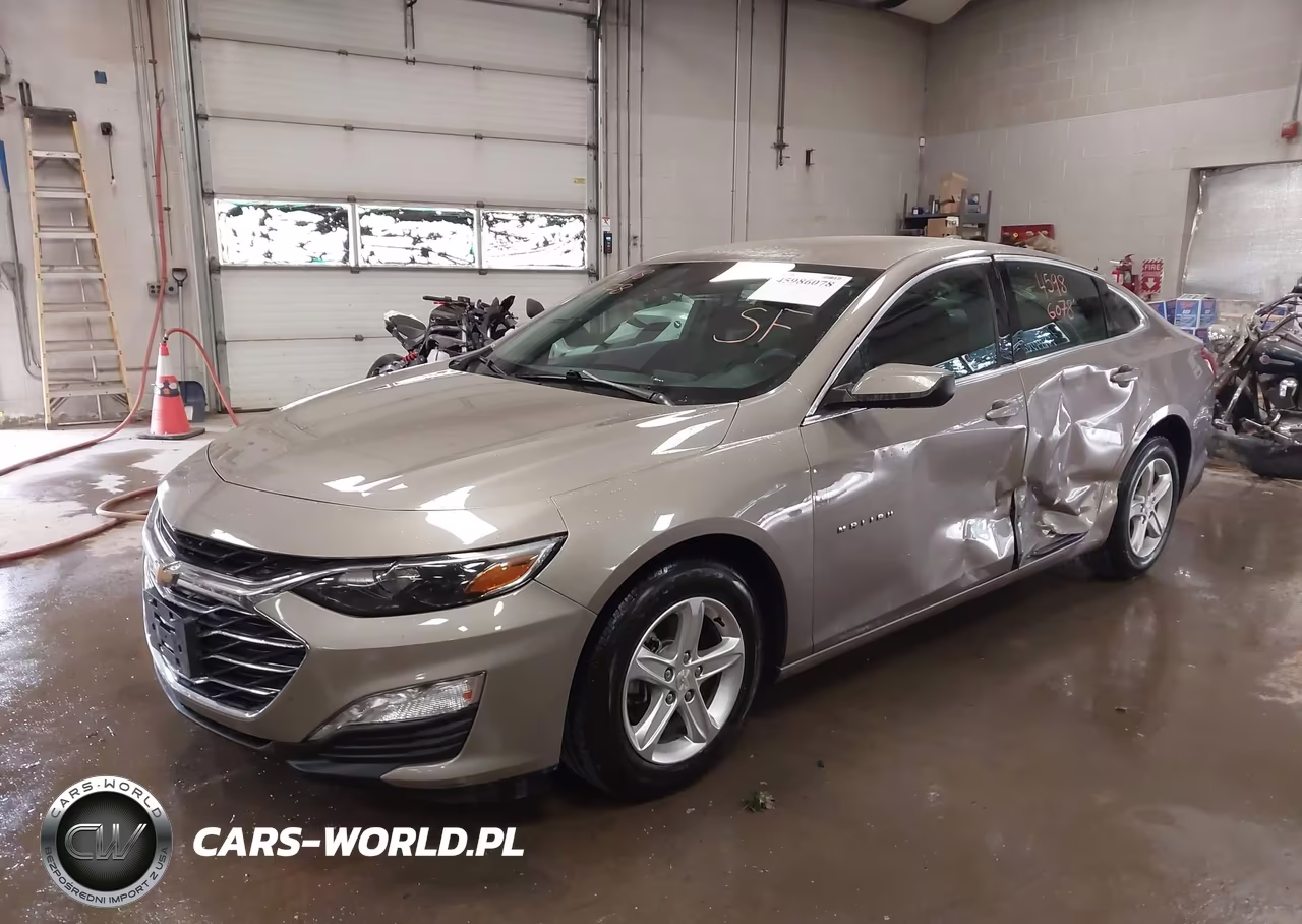 2023 Chevrolet Malibu Fwd 1Lt VIN:1G1ZD5ST1PF241839 - 2