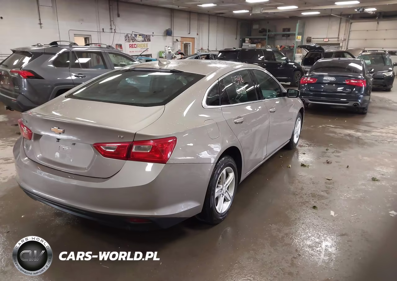 2023 Chevrolet Malibu Fwd 1Lt VIN:1G1ZD5ST1PF241839 - 4