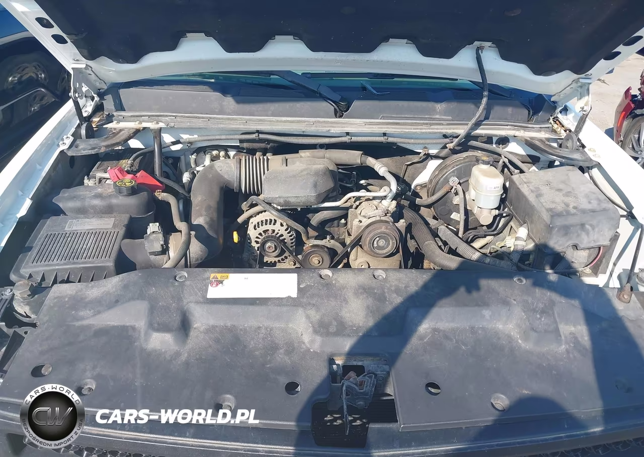 2012 Chevrolet Silverado C1500 VIN:1GCNCPEX0CZ298402 - 10