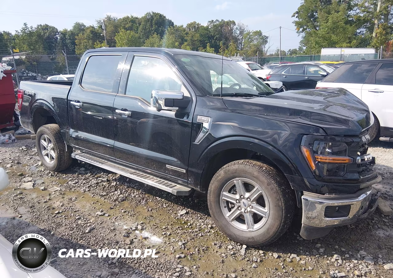 2025 Ford F-150 Xlt VIN:1FTFW3LD5SFA16316 - 14