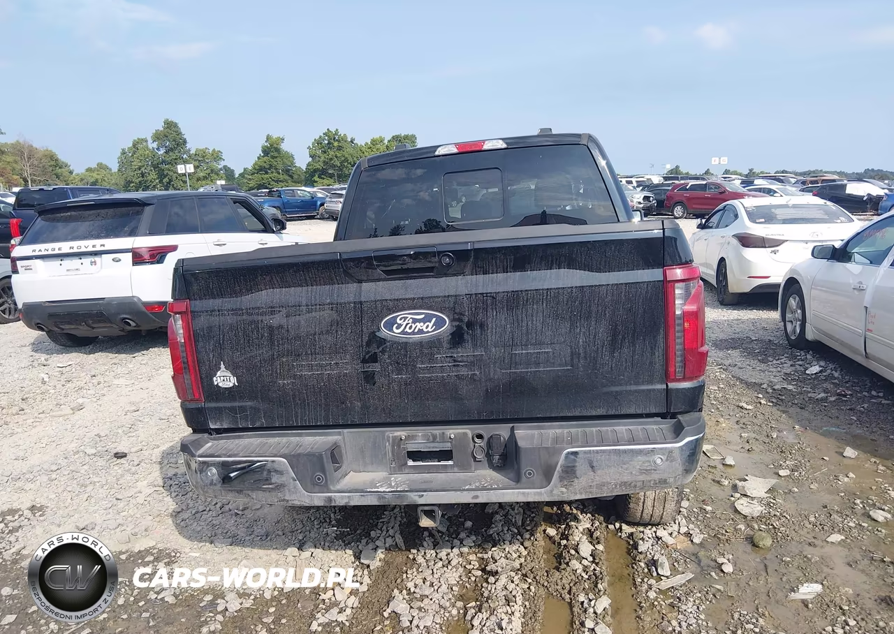 2025 Ford F-150 Xlt VIN:1FTFW3LD5SFA16316 - 17