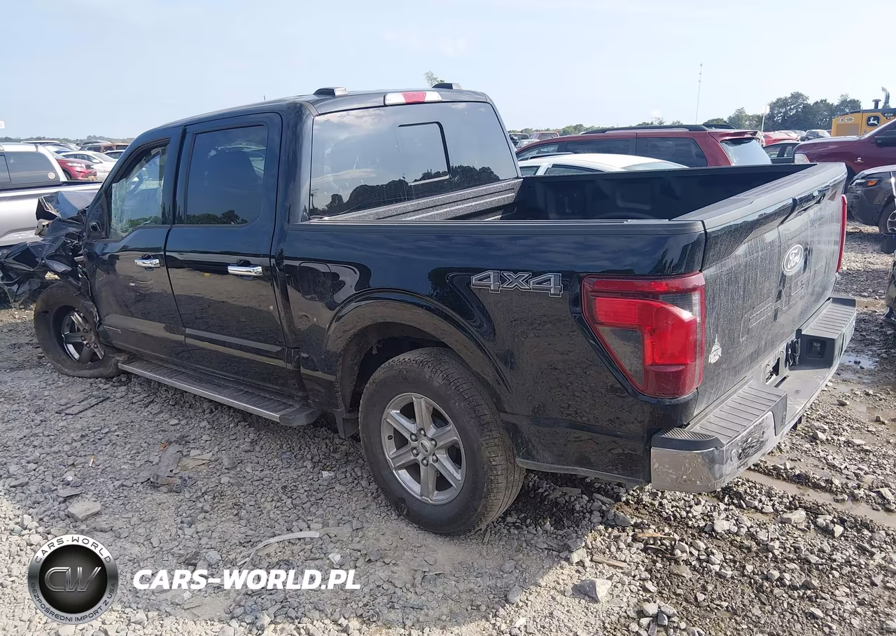 2025 Ford F-150 Xlt VIN:1FTFW3LD5SFA16316 - 3