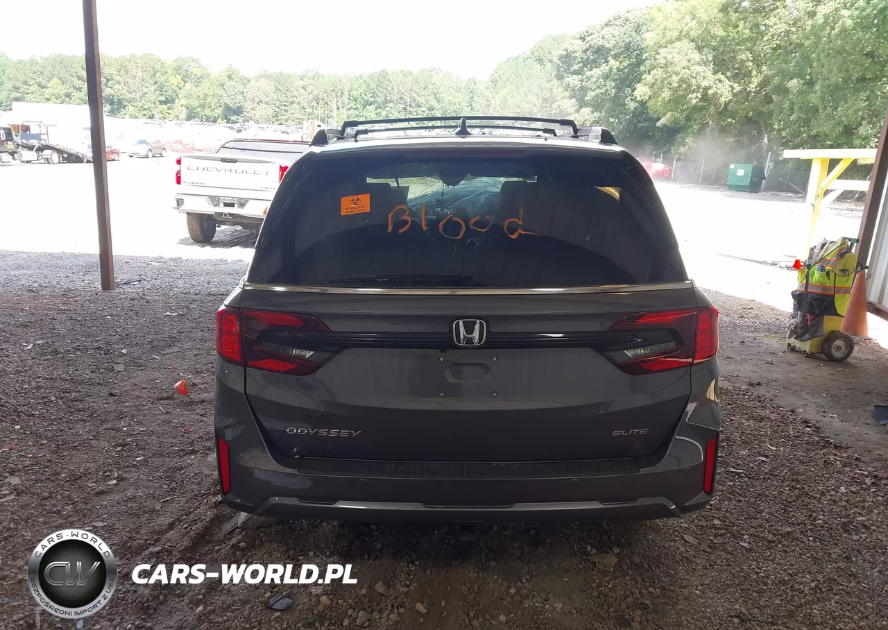2025 Honda Odyssey Elite VIN:5FNRL6H90SB047179 - 17
