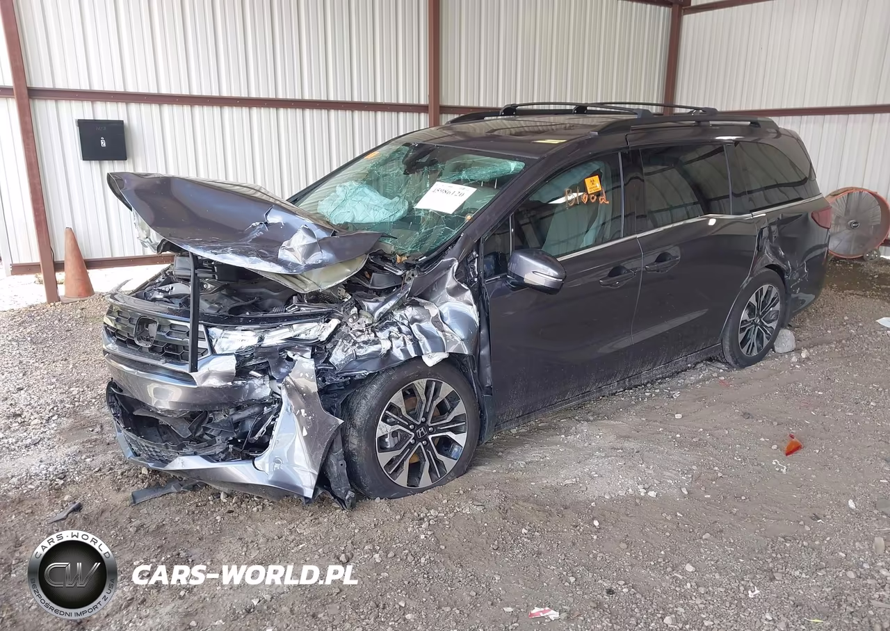 2025 Honda Odyssey Elite VIN:5FNRL6H90SB047179 - 2
