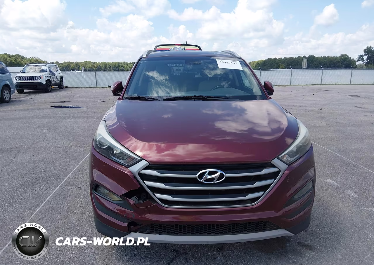 2017 Hyundai Tucson Sport VIN:KM8J3CA29HU271796 - 12