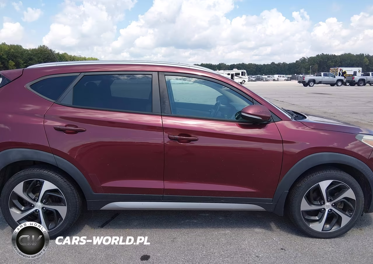 2017 Hyundai Tucson Sport VIN:KM8J3CA29HU271796 - 13