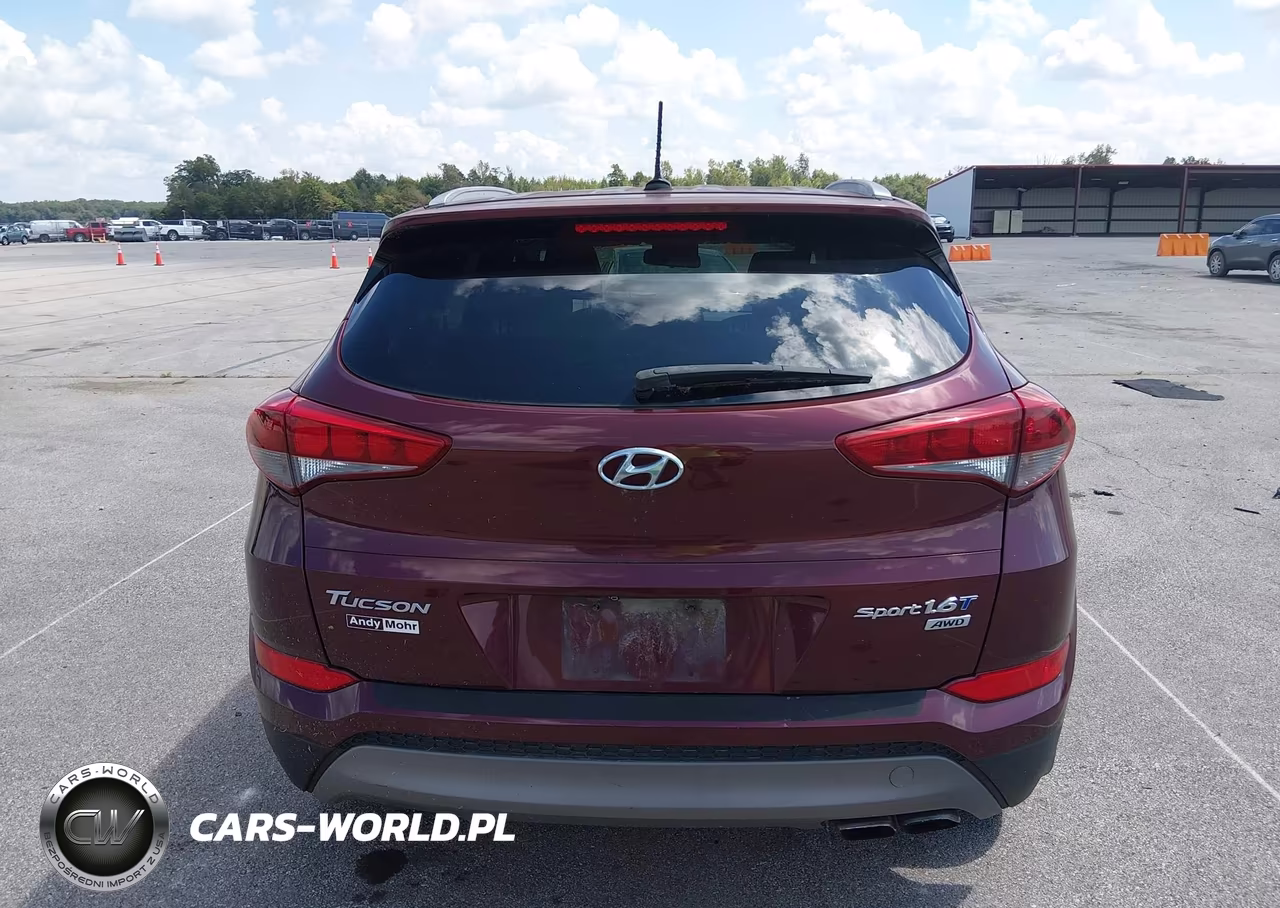 2017 Hyundai Tucson Sport VIN:KM8J3CA29HU271796 - 16