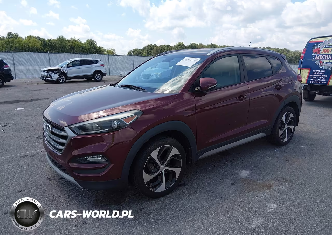 2017 Hyundai Tucson Sport VIN:KM8J3CA29HU271796 - 2