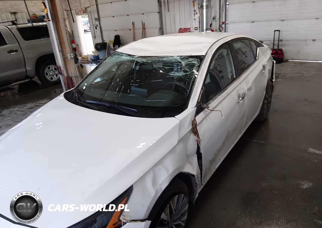 2025 Nissan Altima Sv Awd VIN:1N4BL4DW6SN379460 - 18