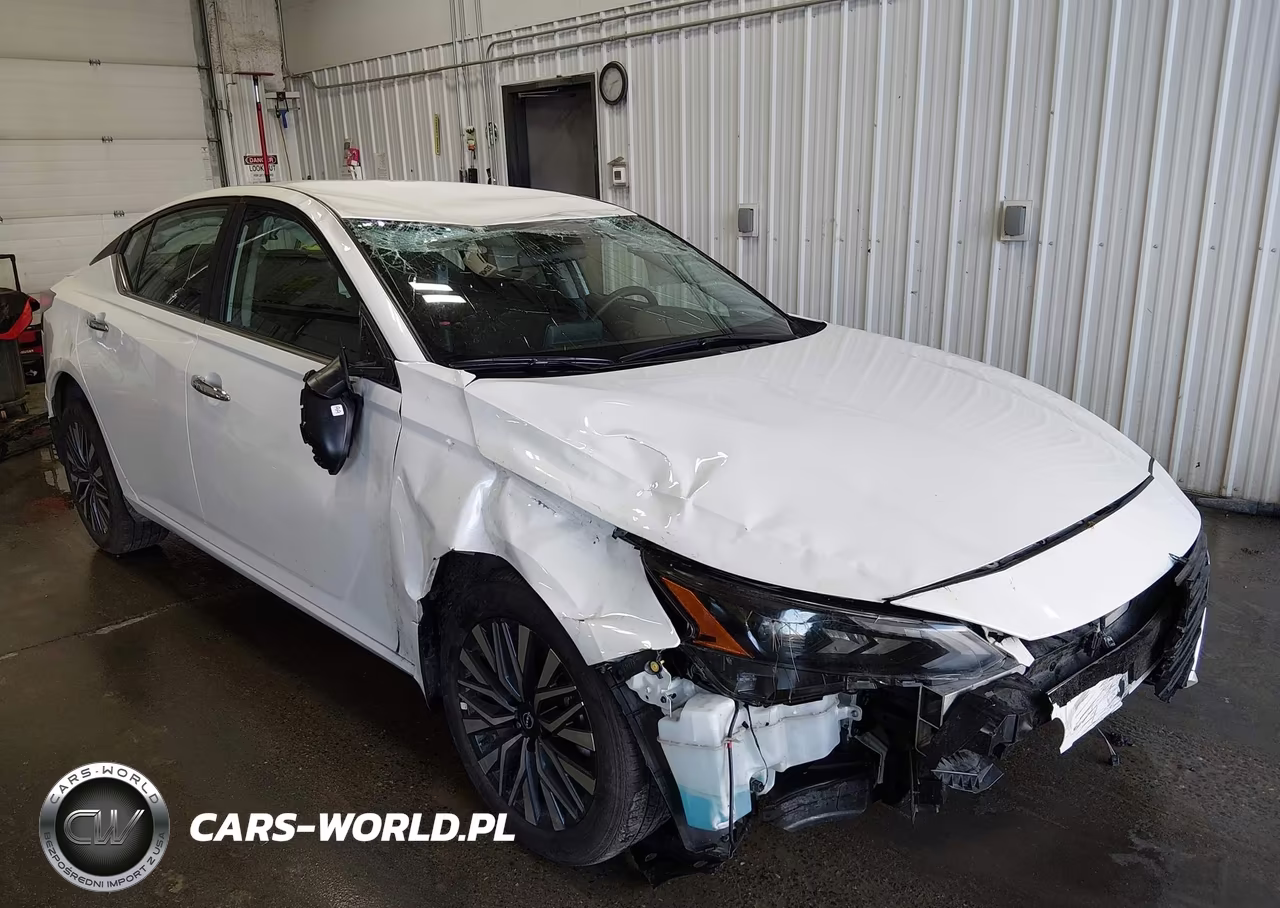 2025 Nissan Altima Sv Awd VIN:1N4BL4DW6SN379460 - 19