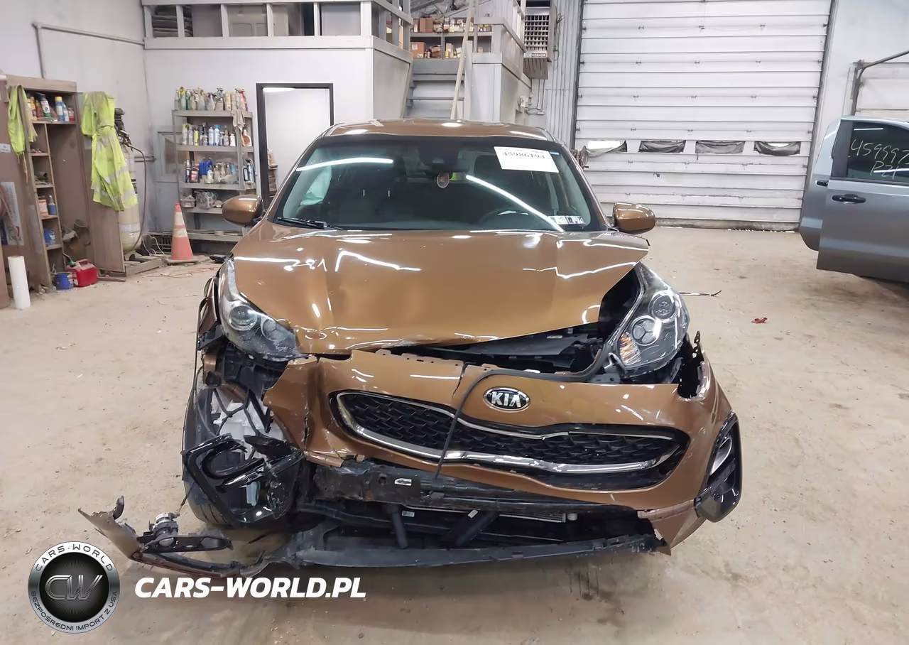 2020 Kia Sportage Lx VIN:KNDPMCAC8L7670291 - 12