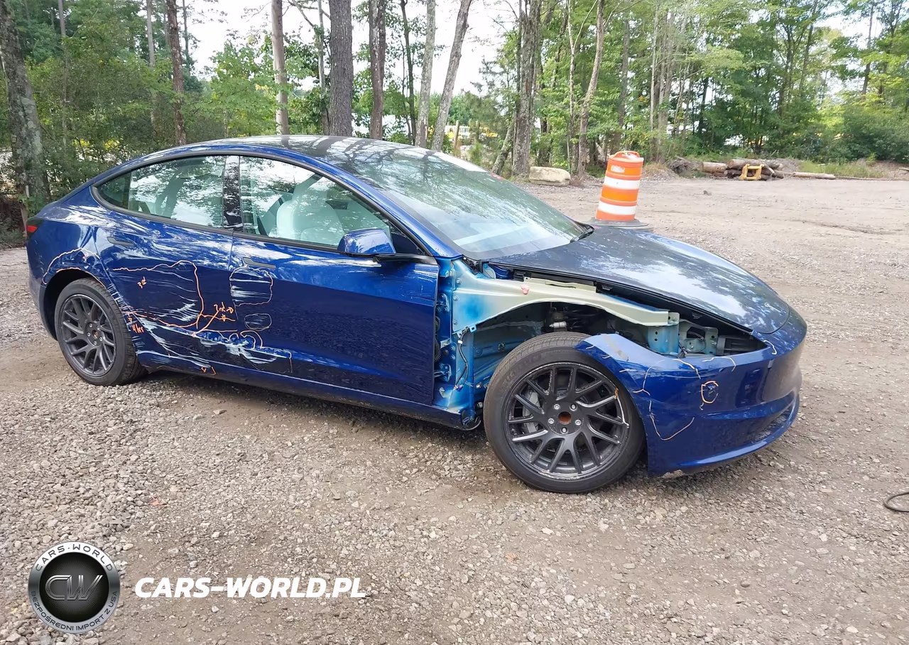 2025 Tesla Model 3 Long Range Rear-Wheel Drive-Standard Rear-Wheel Drive VIN:5YJ3E1EA8SF924308 - 1