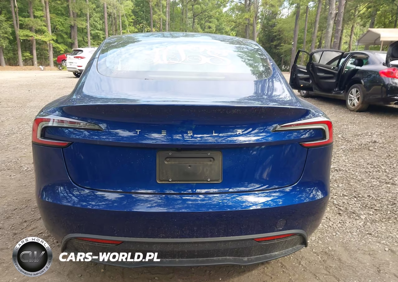 2025 Tesla Model 3 Long Range Rear-Wheel Drive-Standard Rear-Wheel Drive VIN:5YJ3E1EA8SF924308 - 16
