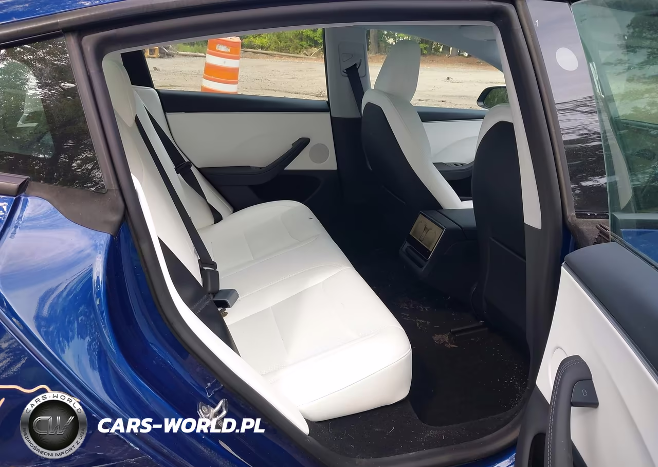 2025 Tesla Model 3 Long Range Rear-Wheel Drive-Standard Rear-Wheel Drive VIN:5YJ3E1EA8SF924308 - 8