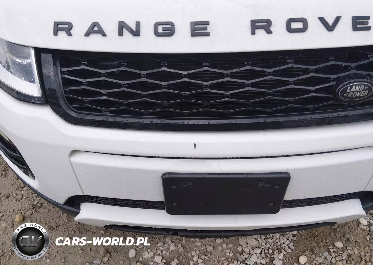2016 Land Rover Range Rover Evoque Se-Se Premium VIN:SALVP2BG4GH088854 - 12