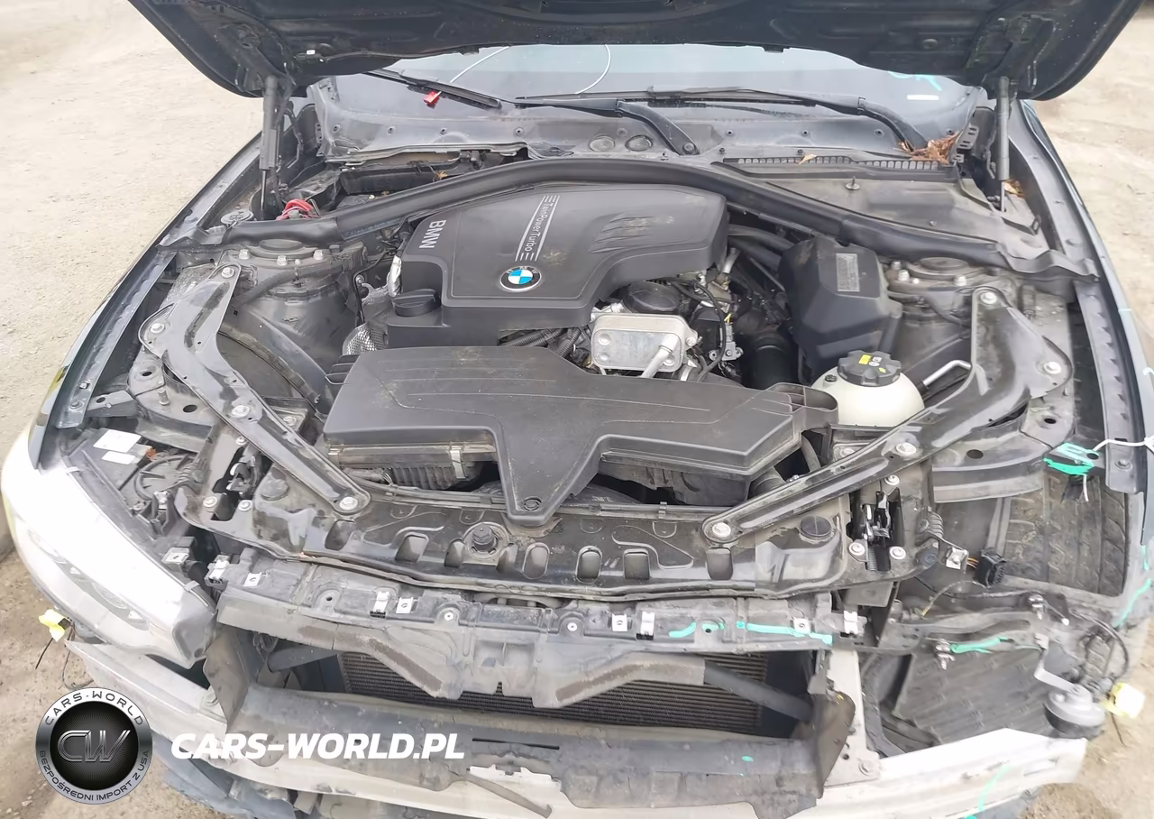 2016 BMW 428I VIN:WBA3V7C55G5A25245 - 10