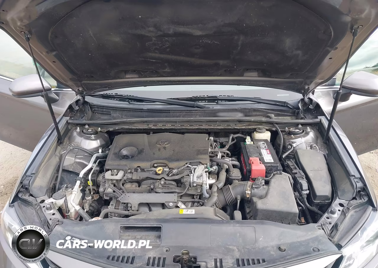 2018 Toyota Camry Le VIN:4T1B11HK8JU055318 - 10