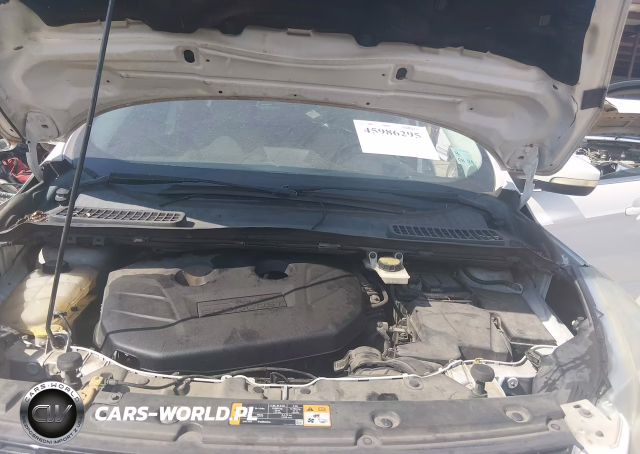 2013 Ford Escape Sel VIN:1FMCU0H91DUB28732 - 10