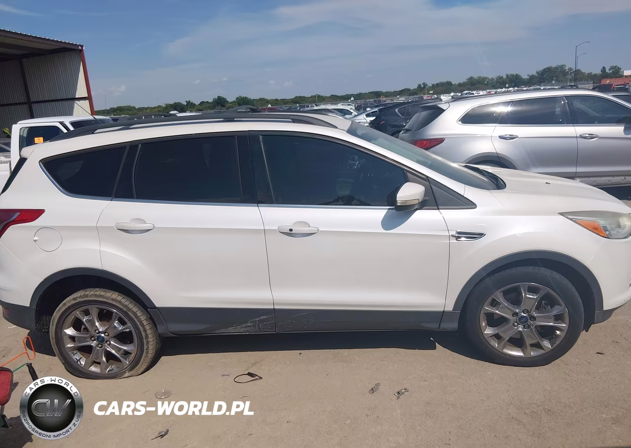 2013 Ford Escape Sel VIN:1FMCU0H91DUB28732 - 12