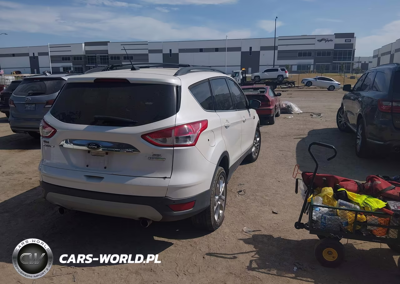 2013 Ford Escape Sel VIN:1FMCU0H91DUB28732 - 4