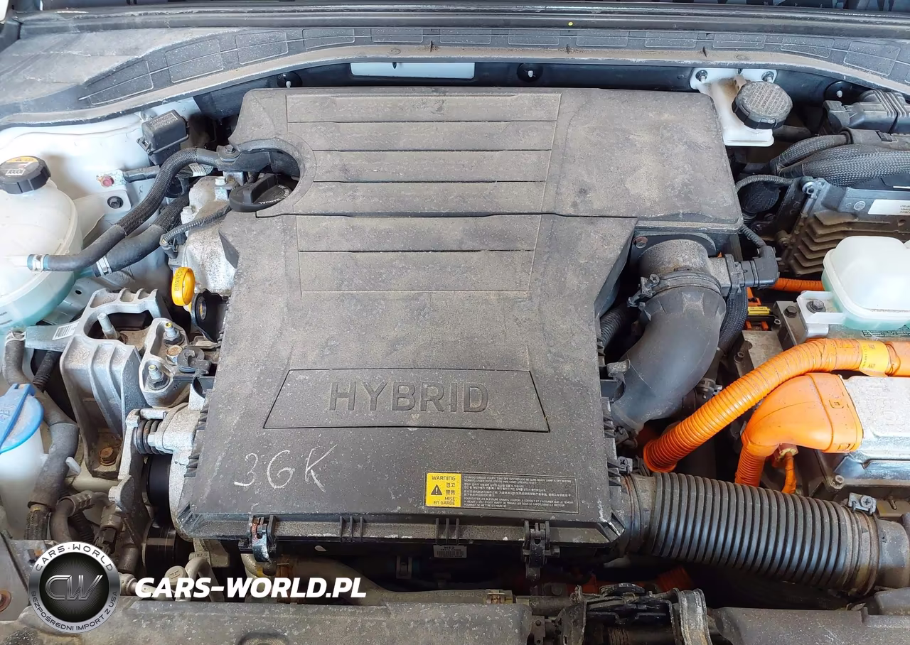 2019 Hyundai Ioniq Hybrid Blue VIN:KMHC65LC7KU106919 - 10