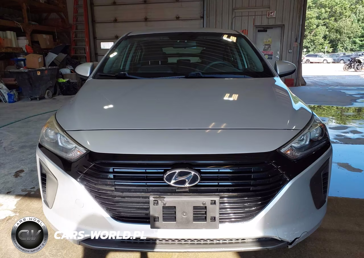 2019 Hyundai Ioniq Hybrid Blue VIN:KMHC65LC7KU106919 - 12