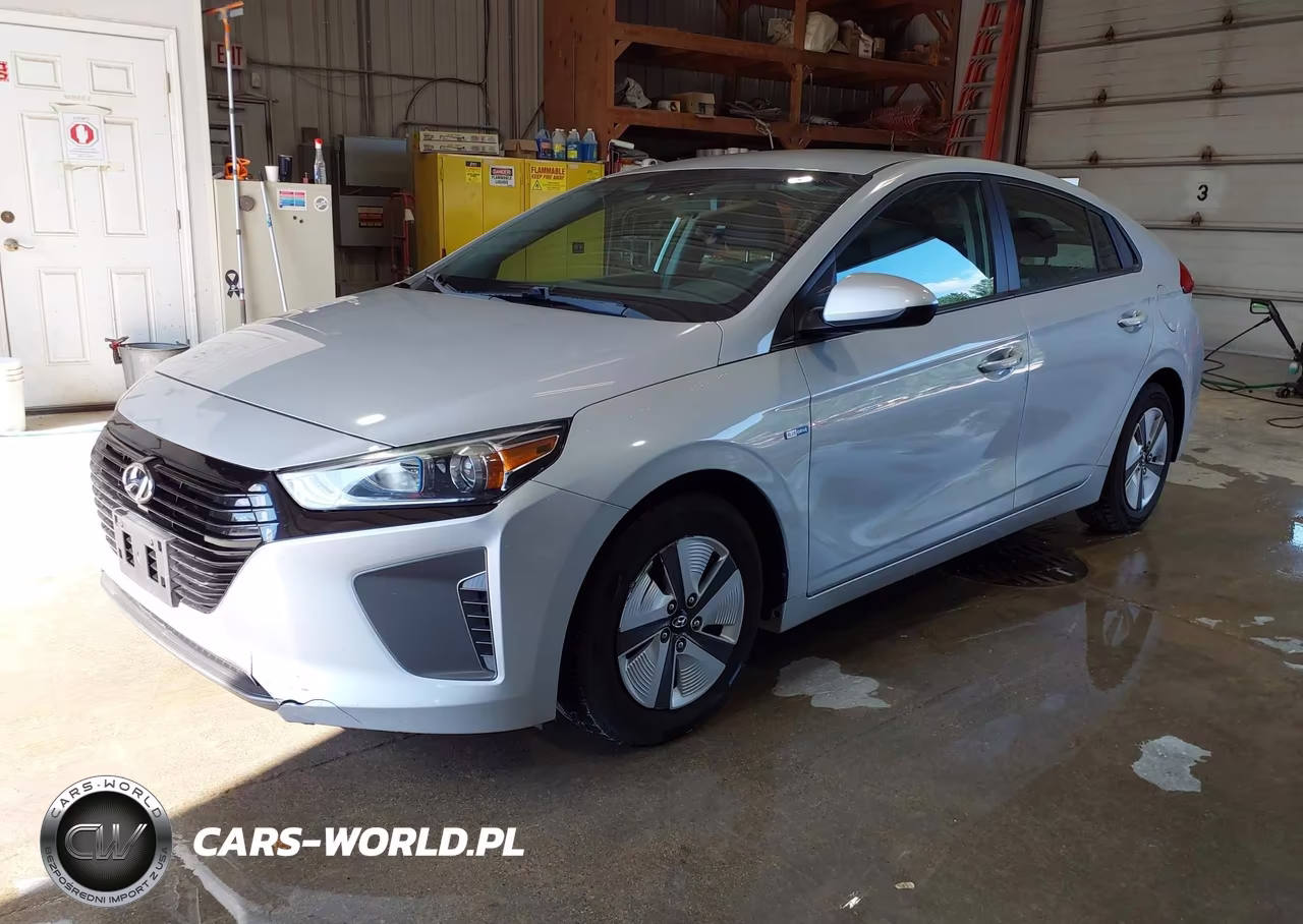 2019 Hyundai Ioniq Hybrid Blue VIN:KMHC65LC7KU106919 - 2