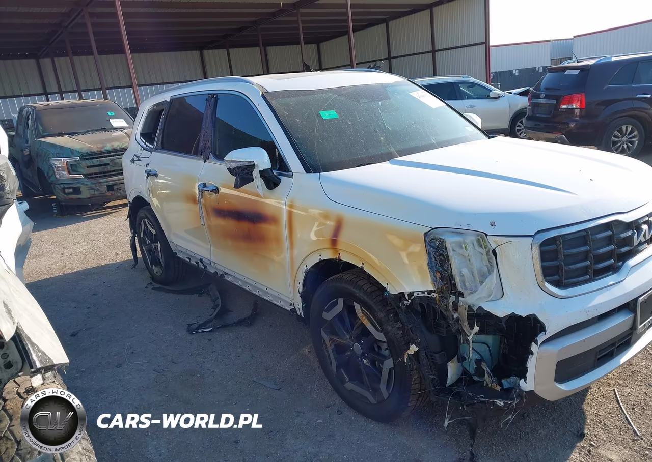 2025 Kia Telluride S VIN:5XYP64GC4SG591791 - 6