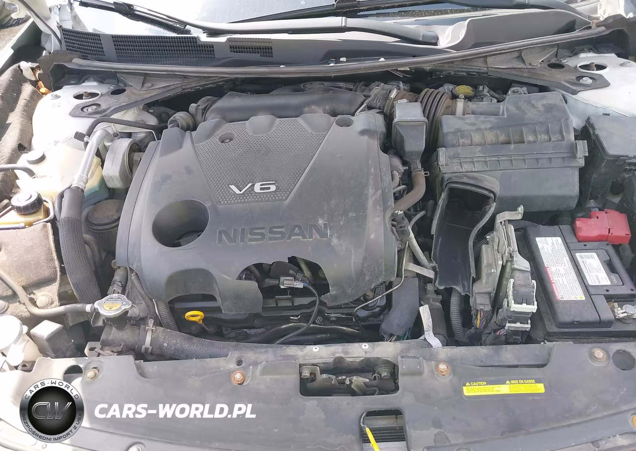 2018 Nissan Maxima 3.5 Platinum VIN:1N4AA6AP3JC365312 - 10