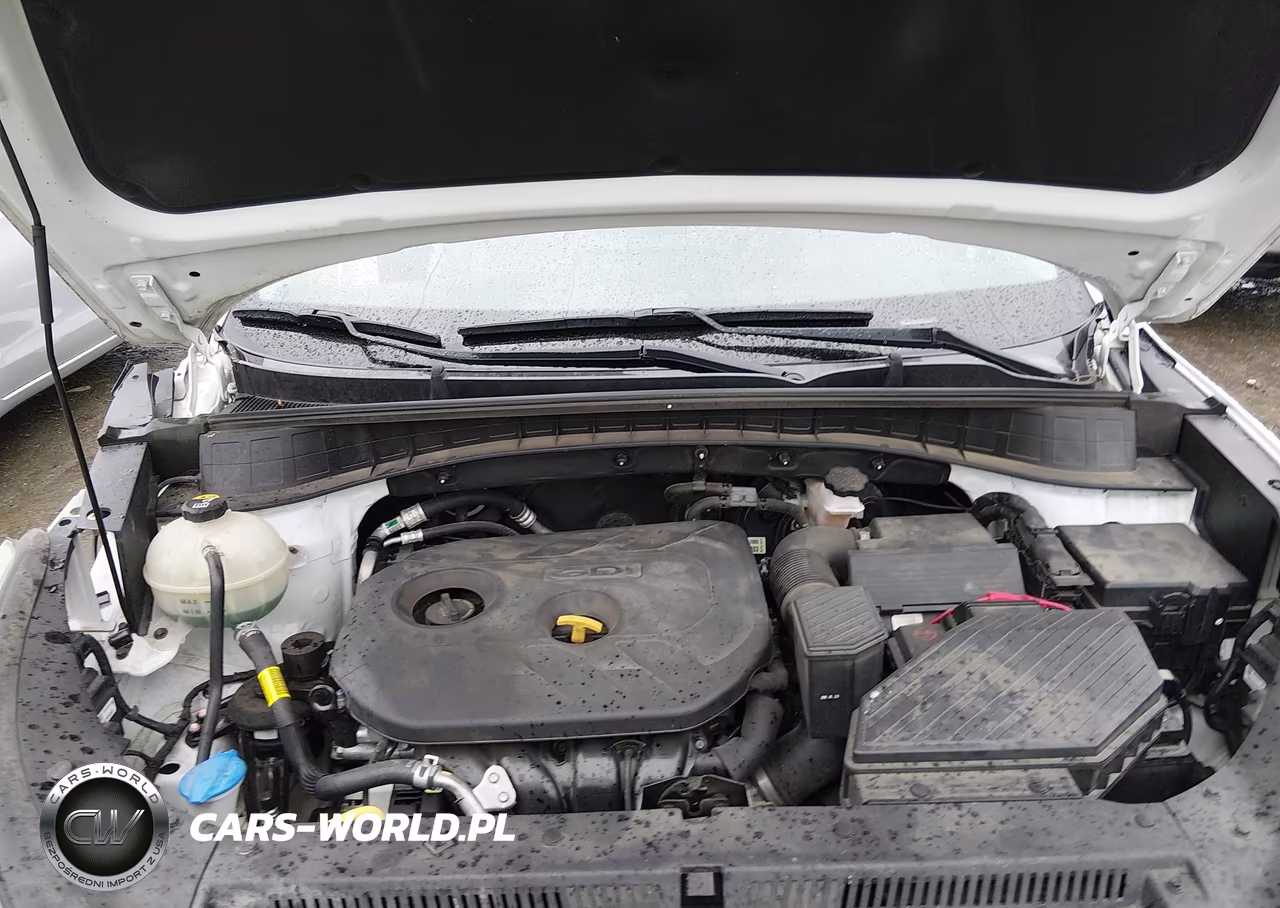2019 Hyundai Tucson Se VIN:KM8J2CA44KU879527 - 10