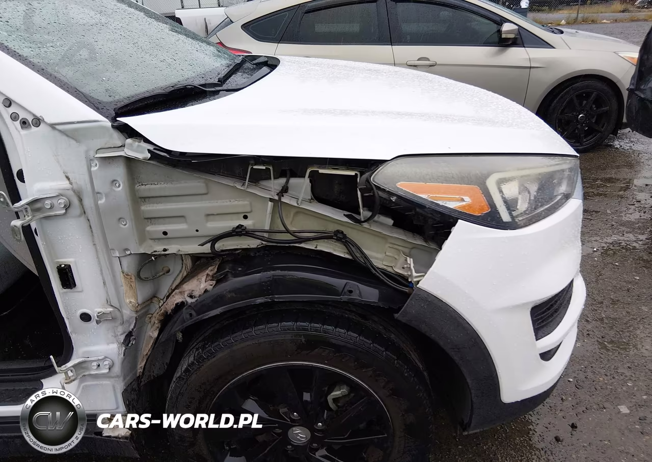 2019 Hyundai Tucson Se VIN:KM8J2CA44KU879527 - 18