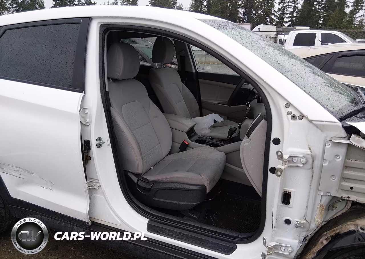 2019 Hyundai Tucson Se VIN:KM8J2CA44KU879527 - 19