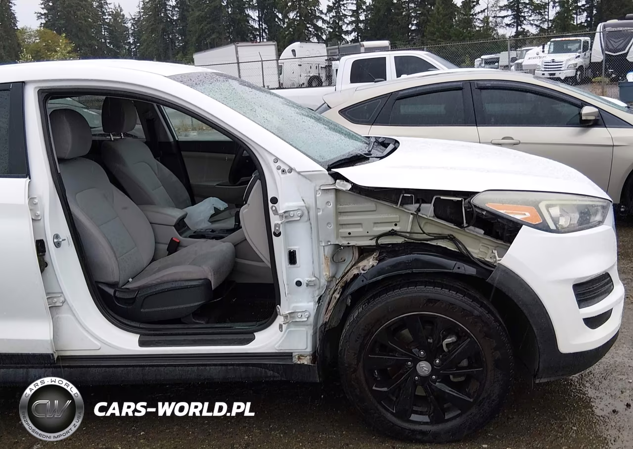 2019 Hyundai Tucson Se VIN:KM8J2CA44KU879527 - 20