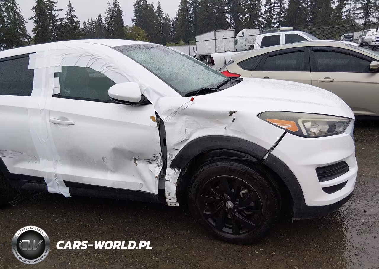 2019 Hyundai Tucson Se VIN:KM8J2CA44KU879527 - 21