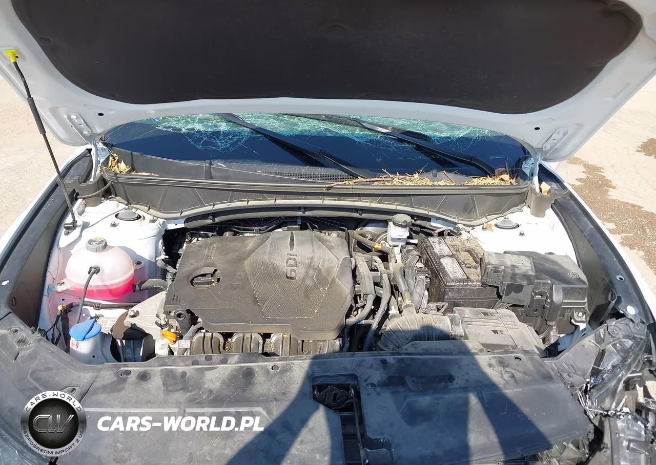 2025 Hyundai Tucson Sel VIN:3KMJB3DE1SE023459 - 10
