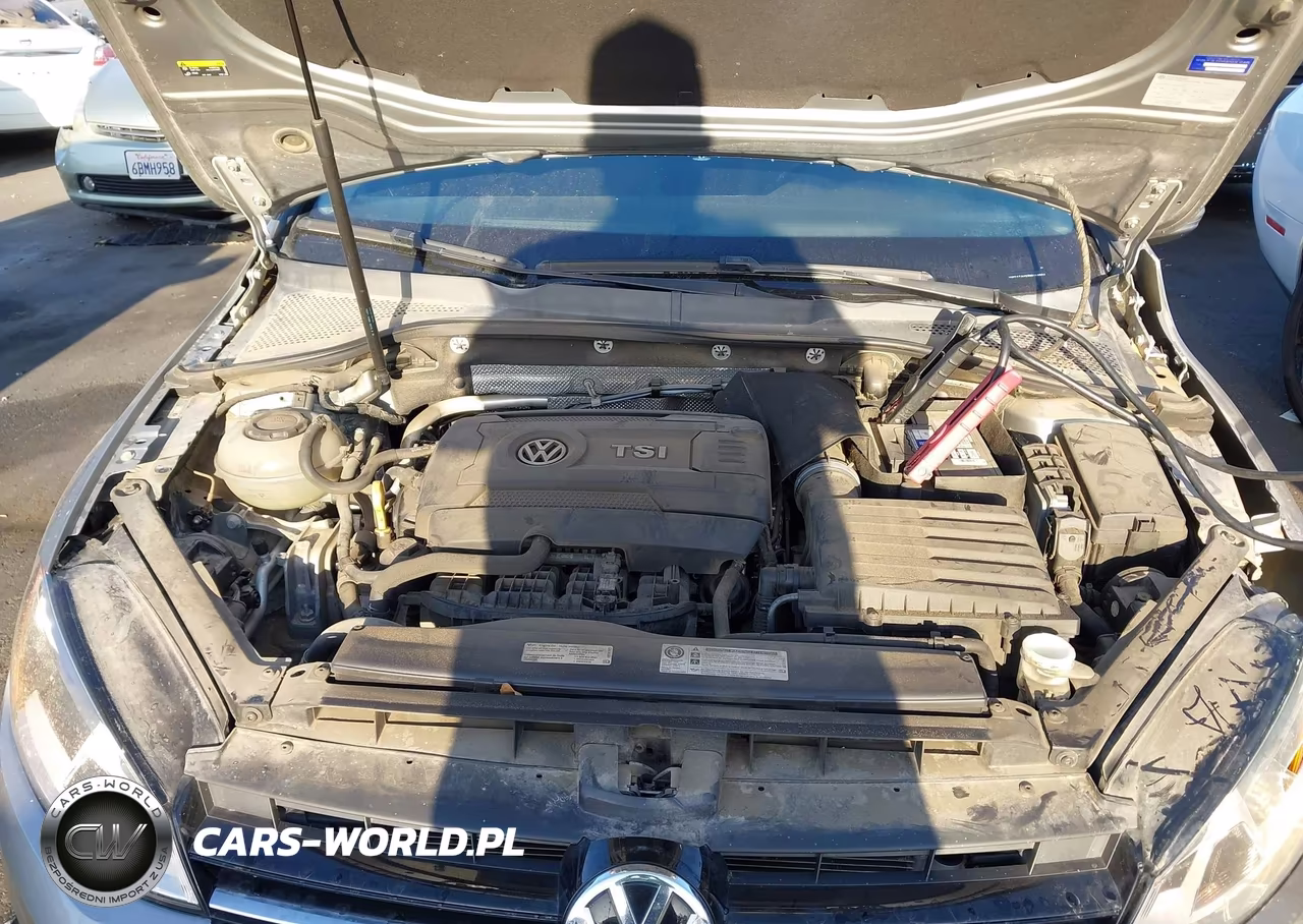 2016 Volkswagen Golf Tsi S 4-Door VIN:3VW217AUXGM056984 - 10