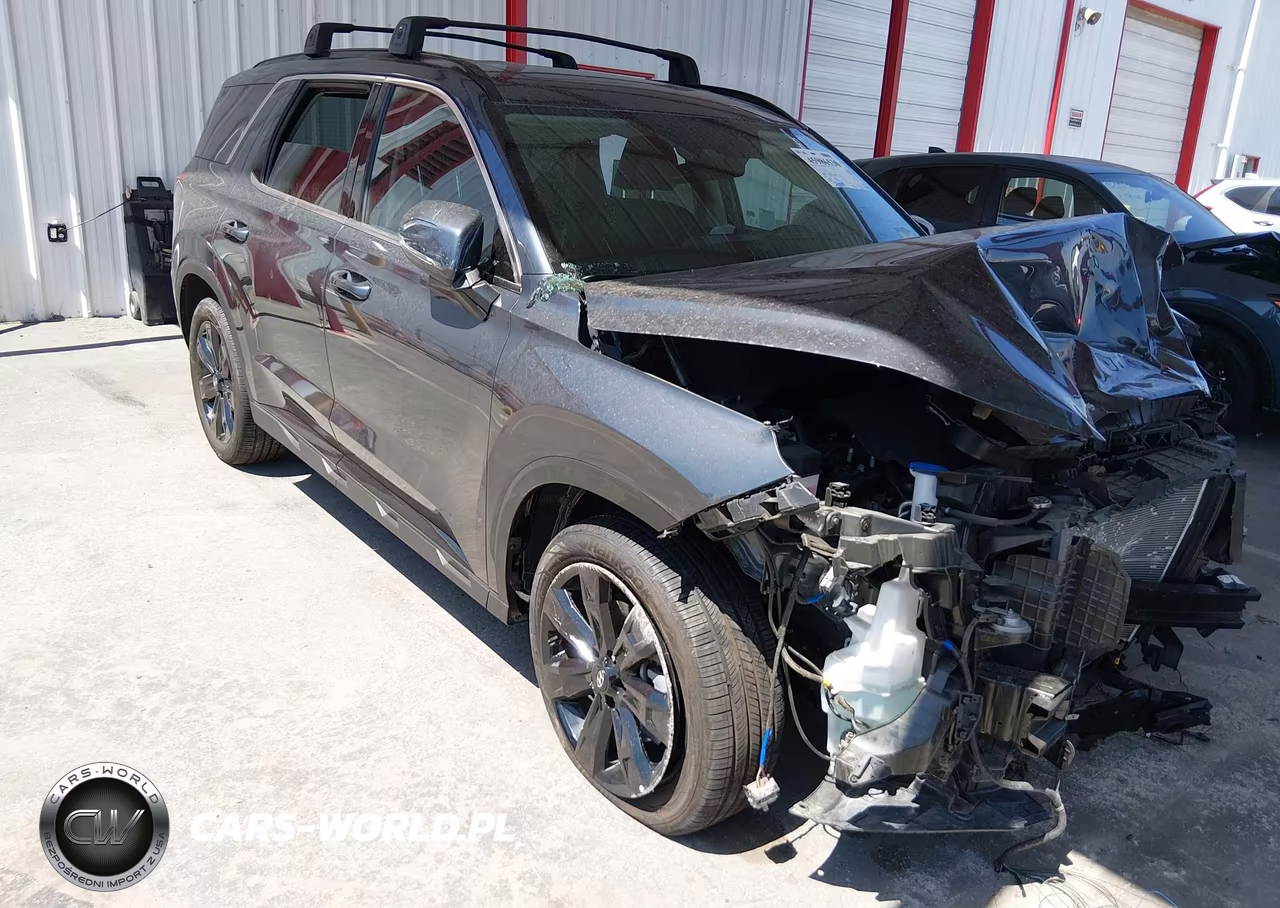 2025 Hyundai Palisade Xrt VIN:KM8R3DGE0SU852668 - 1