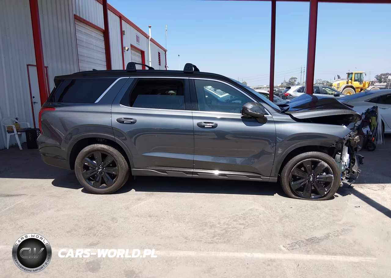 2025 Hyundai Palisade Xrt VIN:KM8R3DGE0SU852668 - 13