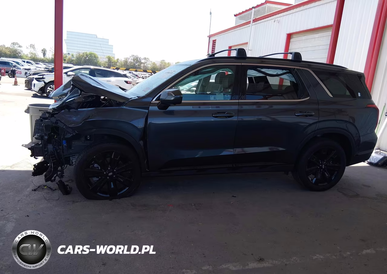 2025 Hyundai Palisade Xrt VIN:KM8R3DGE0SU852668 - 14