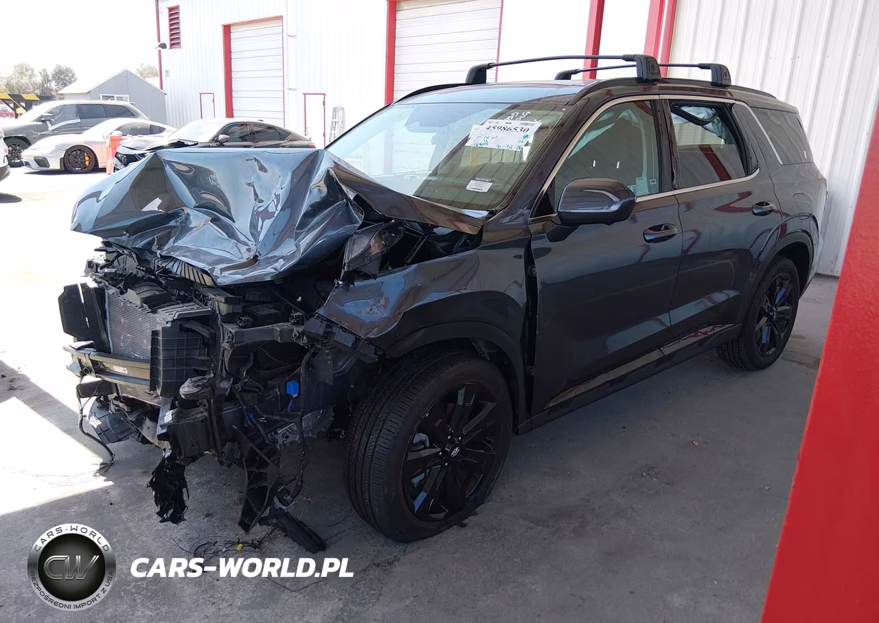 2025 Hyundai Palisade Xrt VIN:KM8R3DGE0SU852668 - 2