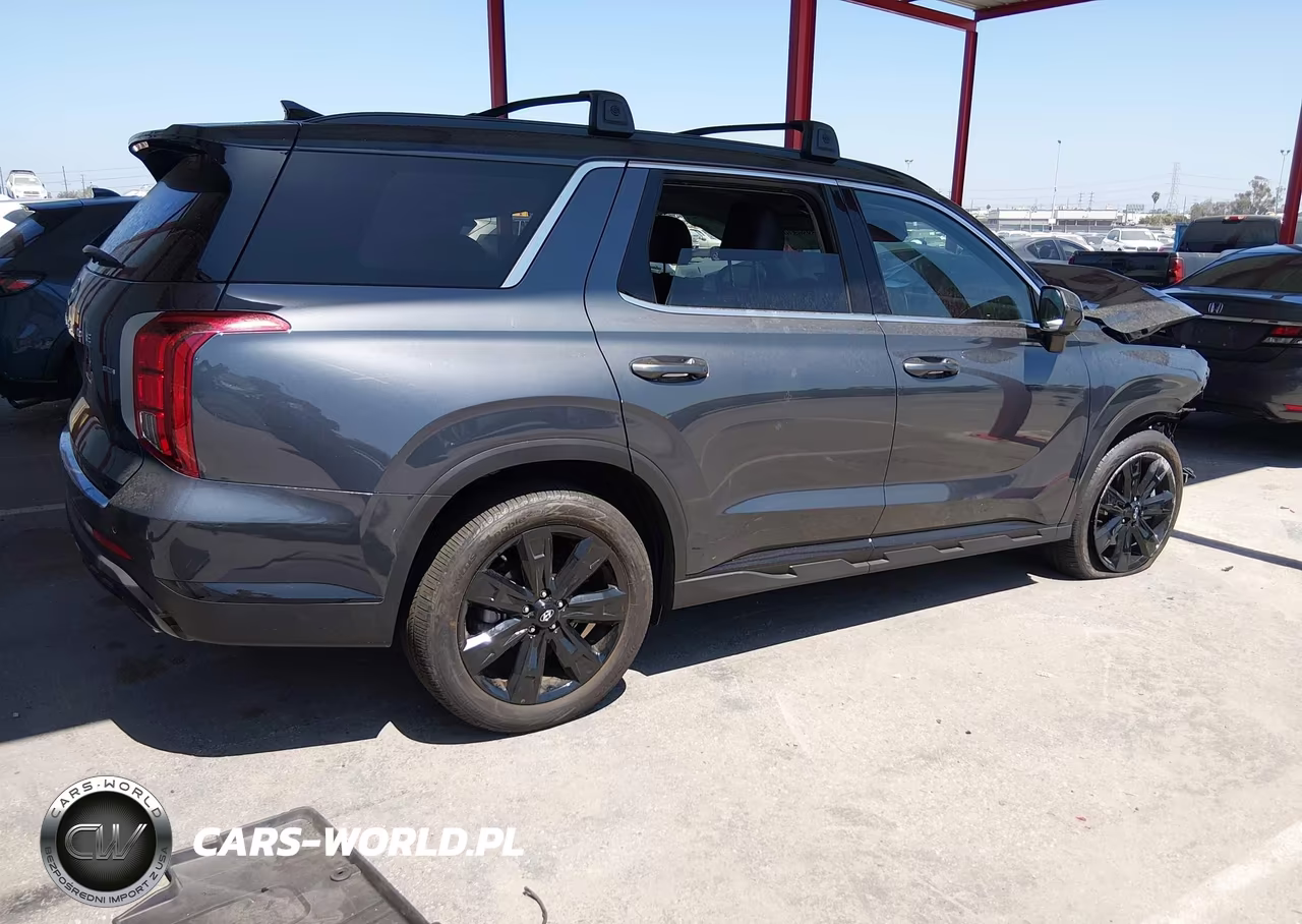 2025 Hyundai Palisade Xrt VIN:KM8R3DGE0SU852668 - 4