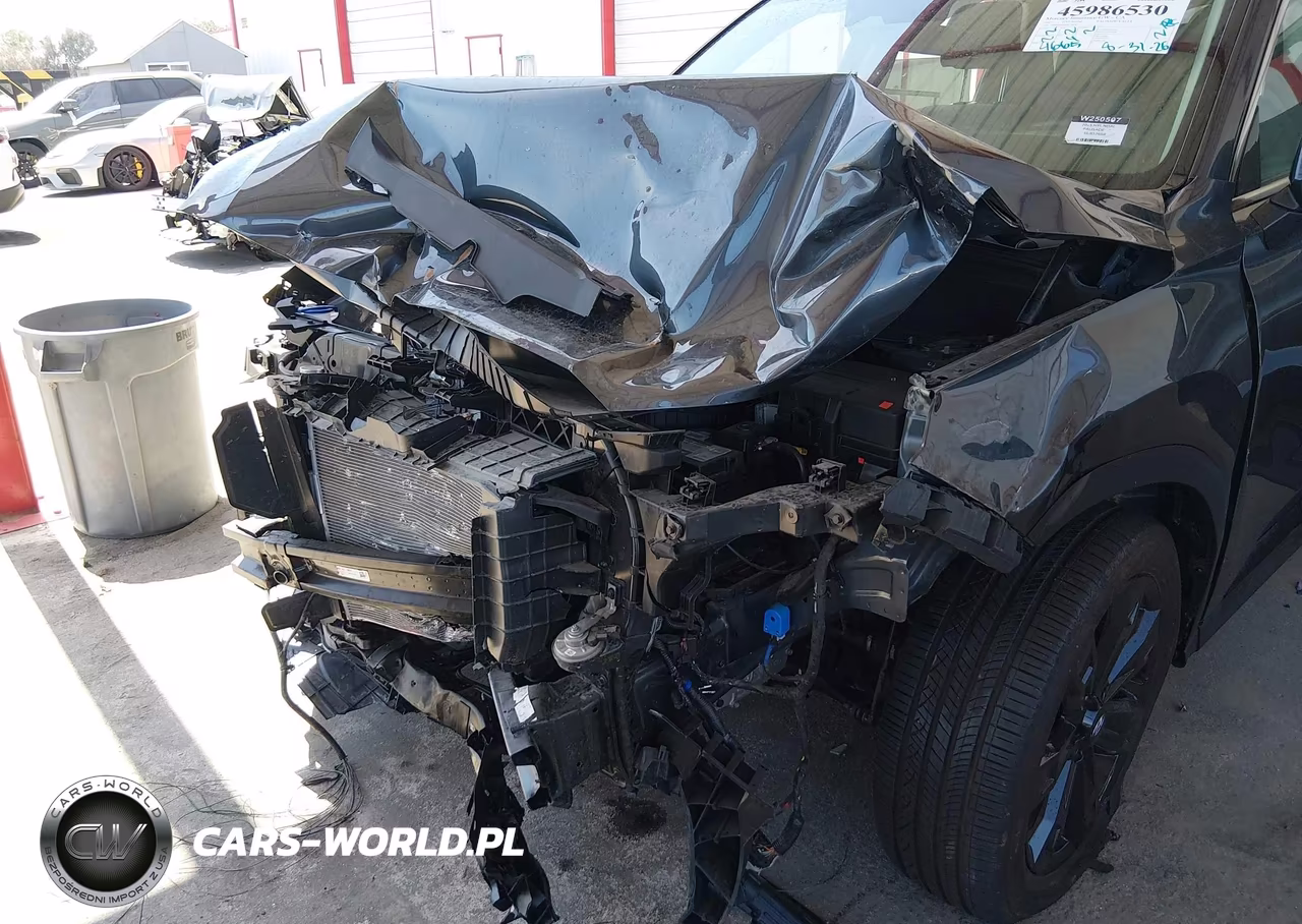 2025 Hyundai Palisade Xrt VIN:KM8R3DGE0SU852668 - 6