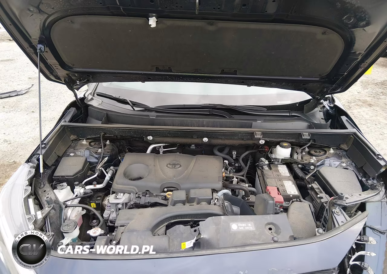 2023 Toyota Rav4 Xle VIN:2T3P1RFV7PW398056 - 10